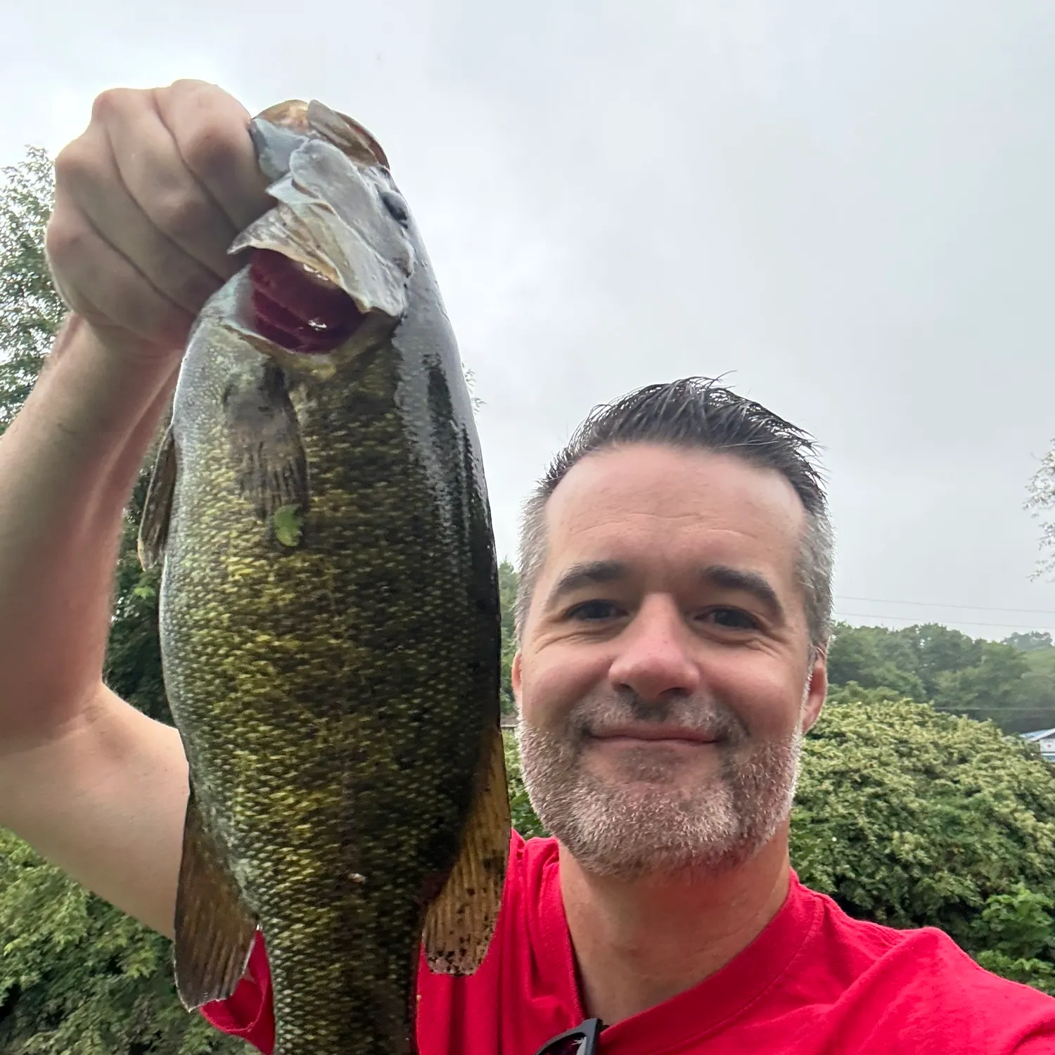 Smallmouth bass caught on Fishbrain