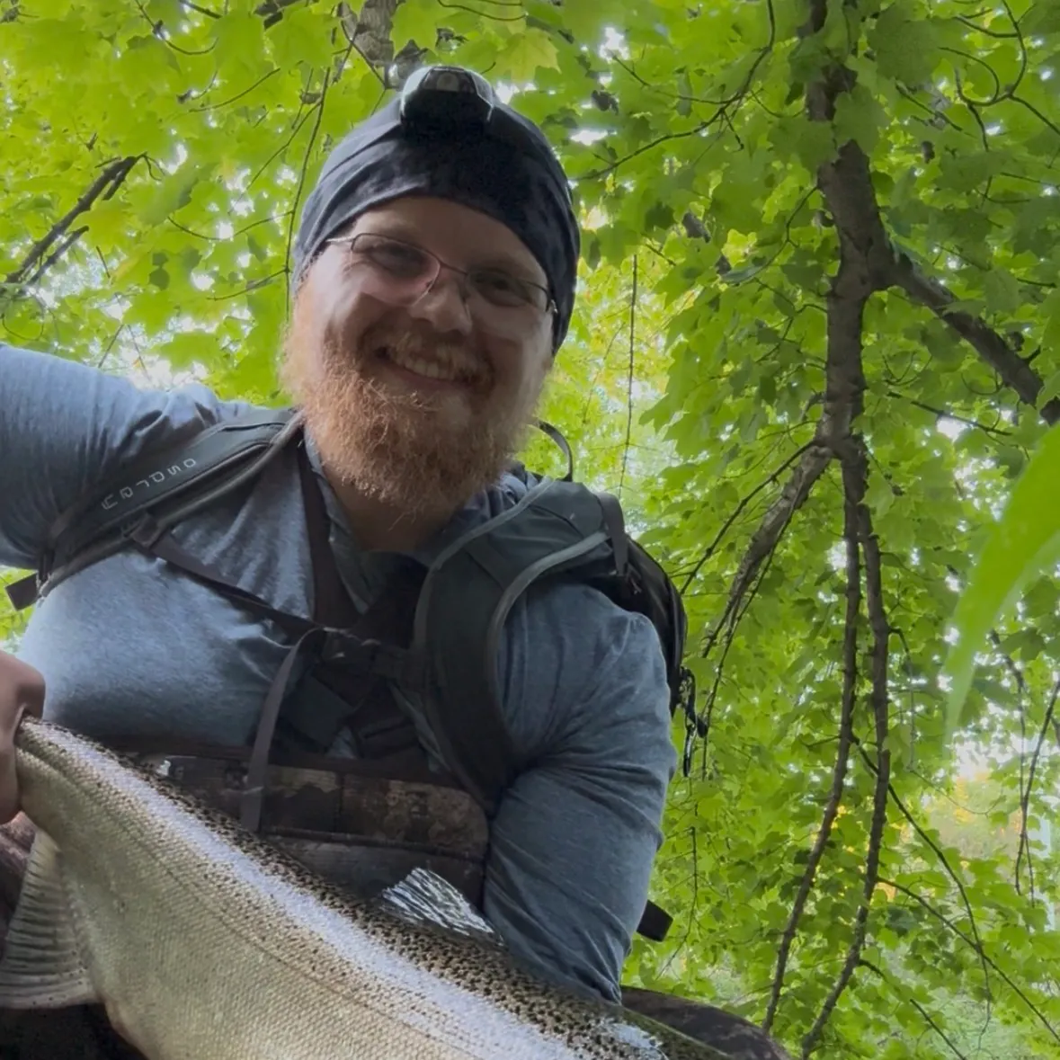 Chinook salmon caught on Fishbrain