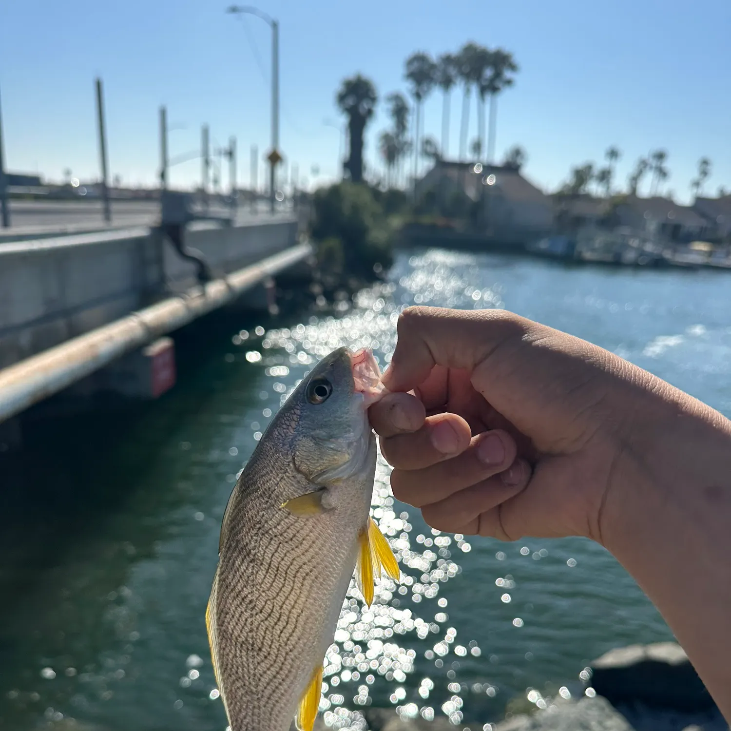 catch