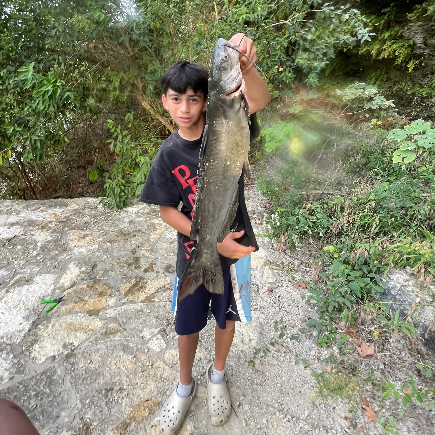 Channel catfish caught on Fishbrain
