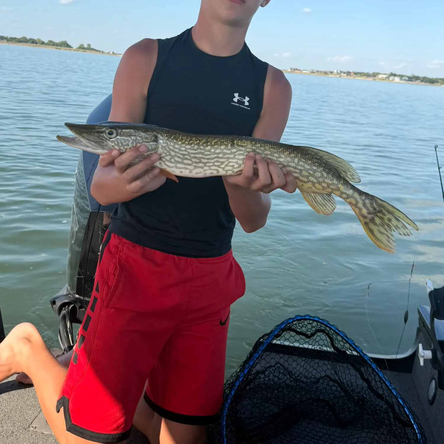 Northern pike caught on Fishbrain