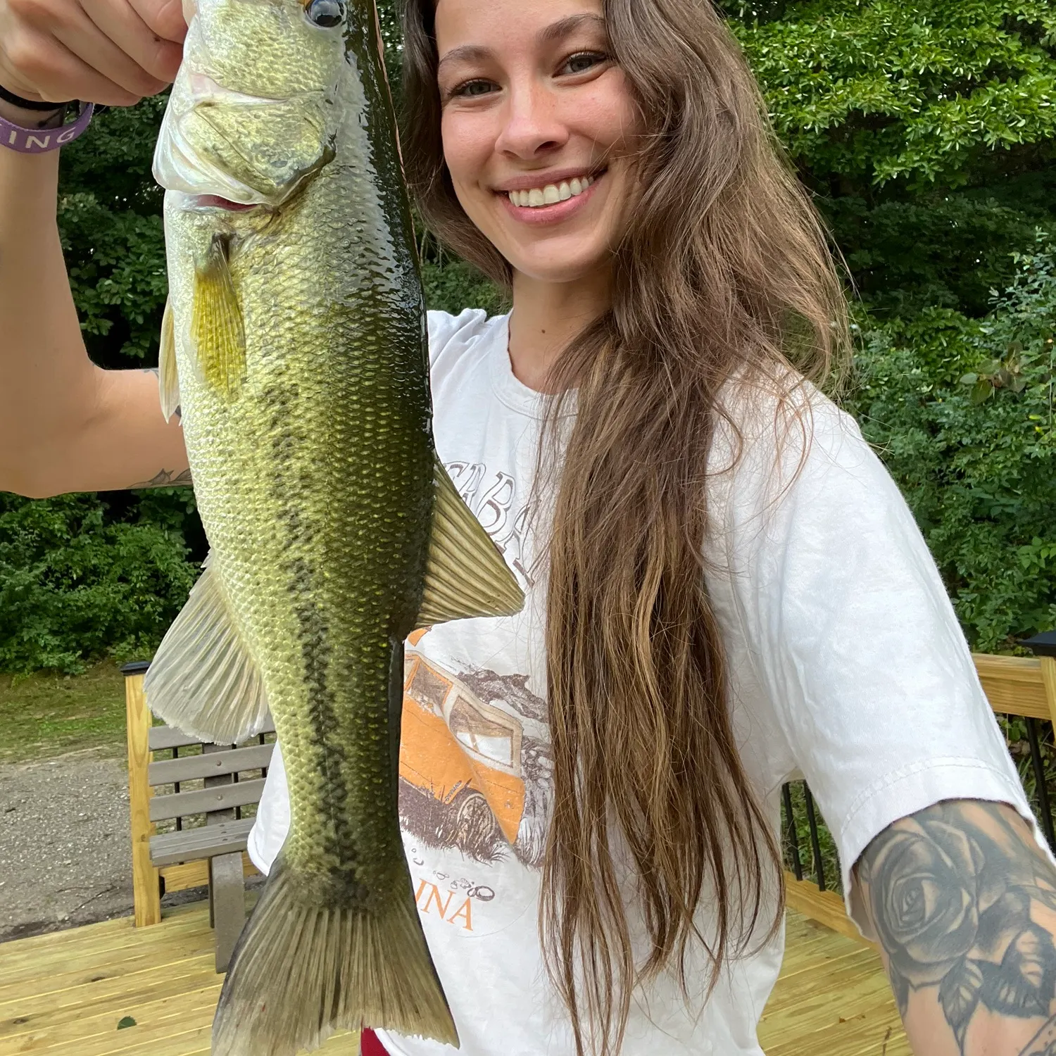 Largemouth bass caught on Fishbrain