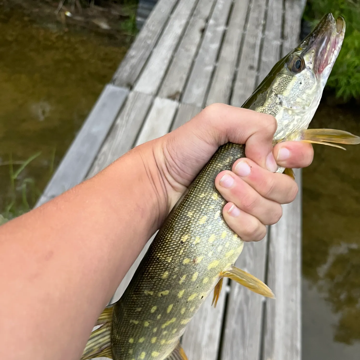 catch