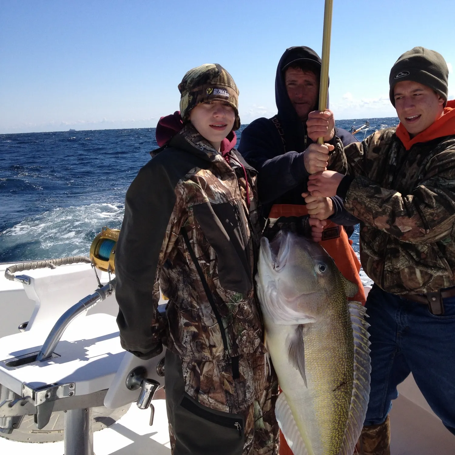 The most recent Great northern tilefish catches on Fishbrain