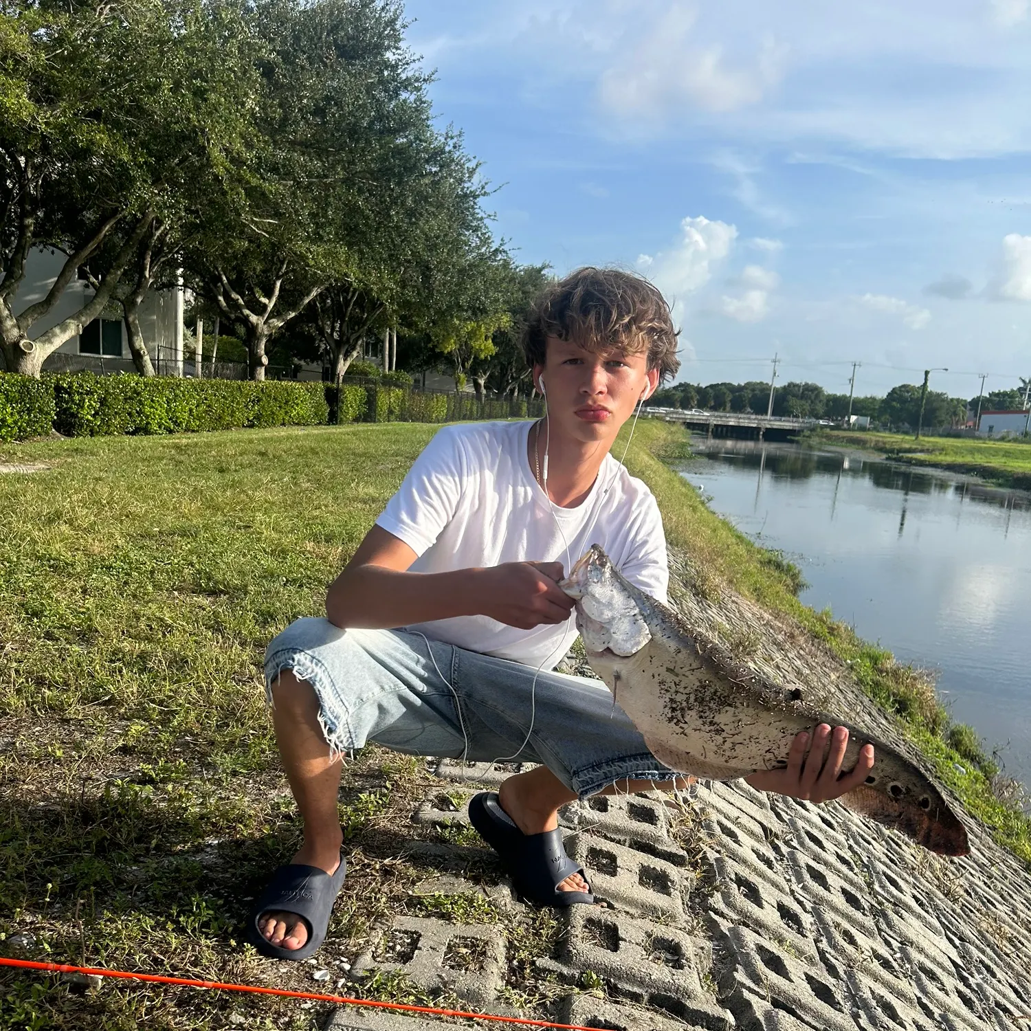The most recent Clown knifefish catches on Fishbrain