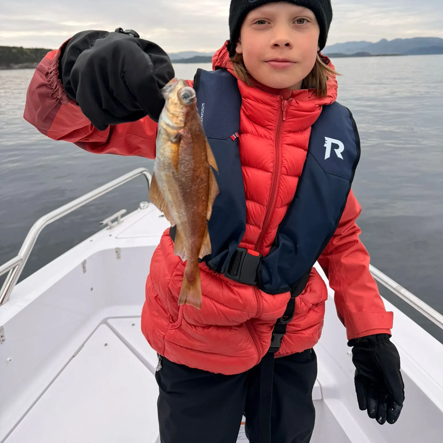 The most recent Poor cod catches on Fishbrain