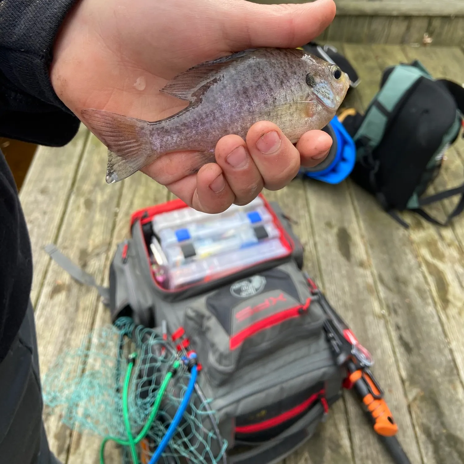 catch