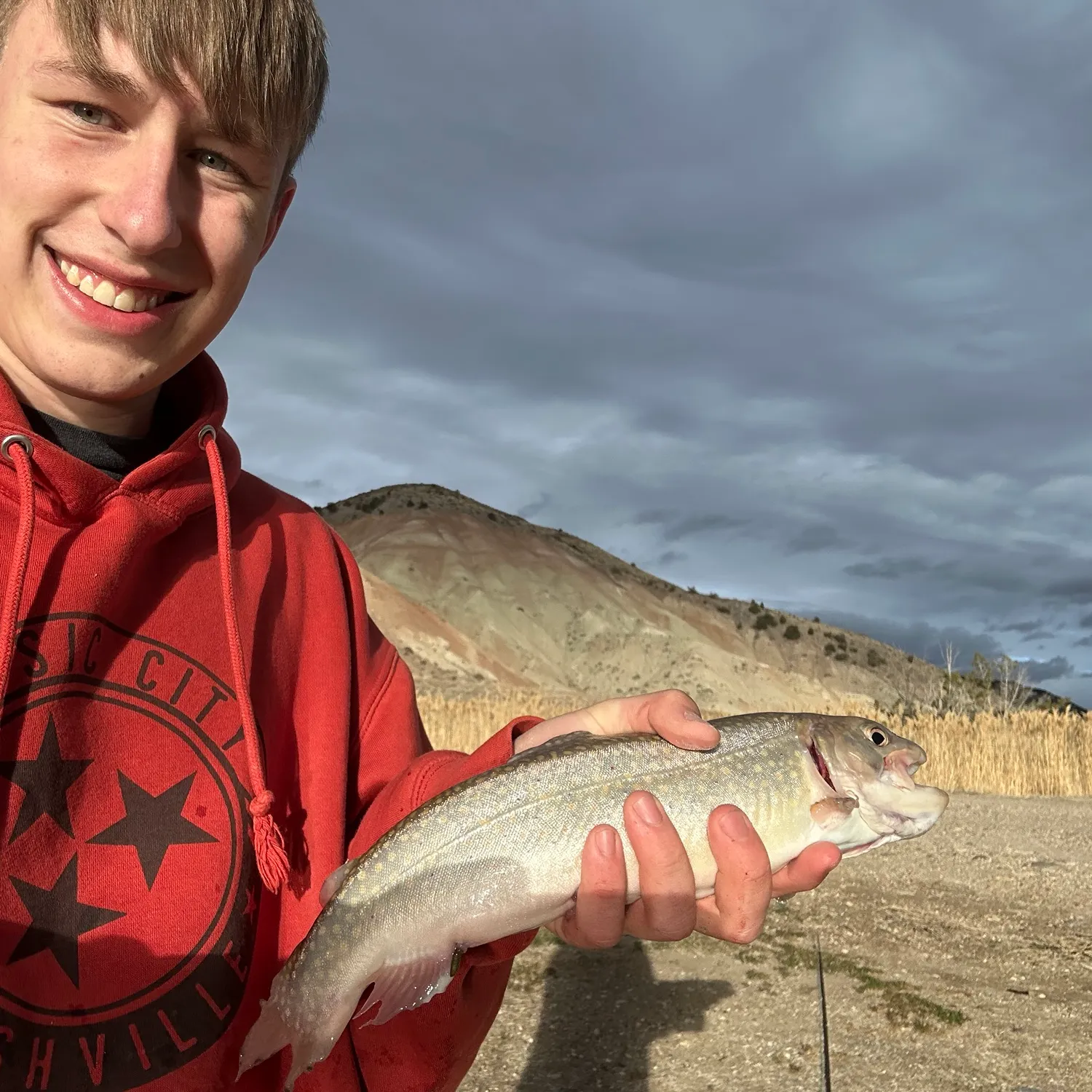The most recent Brook trout catches on Fishbrain