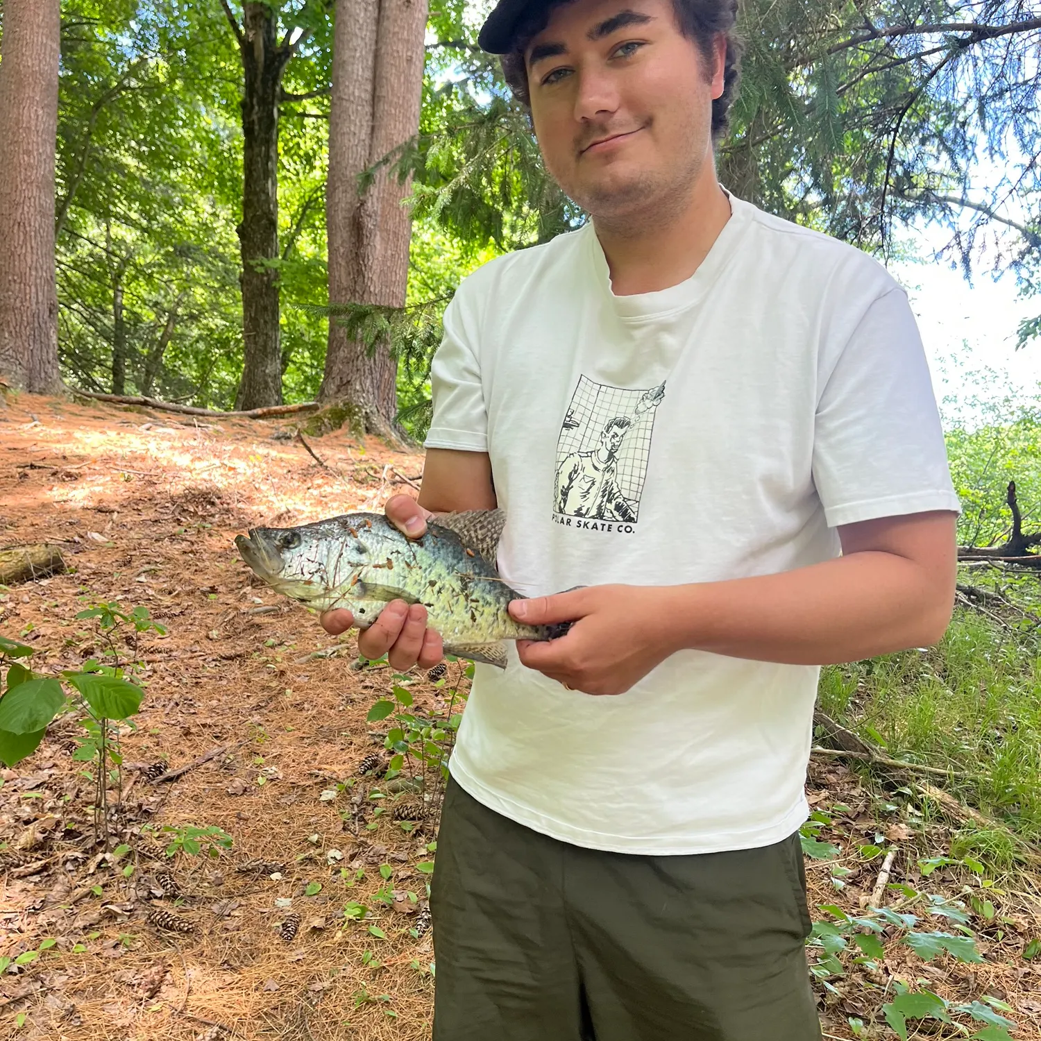 The most recent White crappie catches on Fishbrain