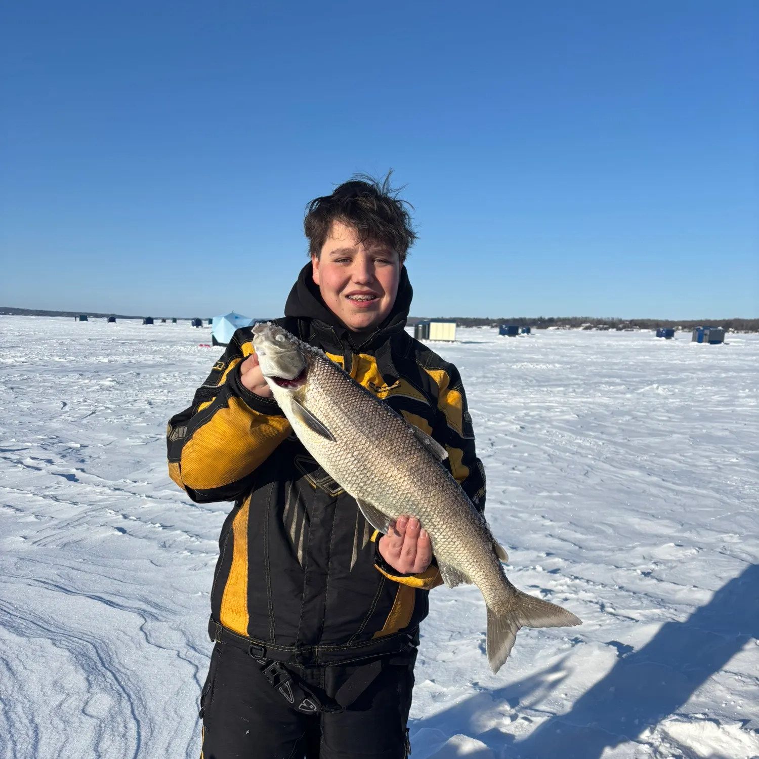 The most recent Lake whitefish catches on Fishbrain