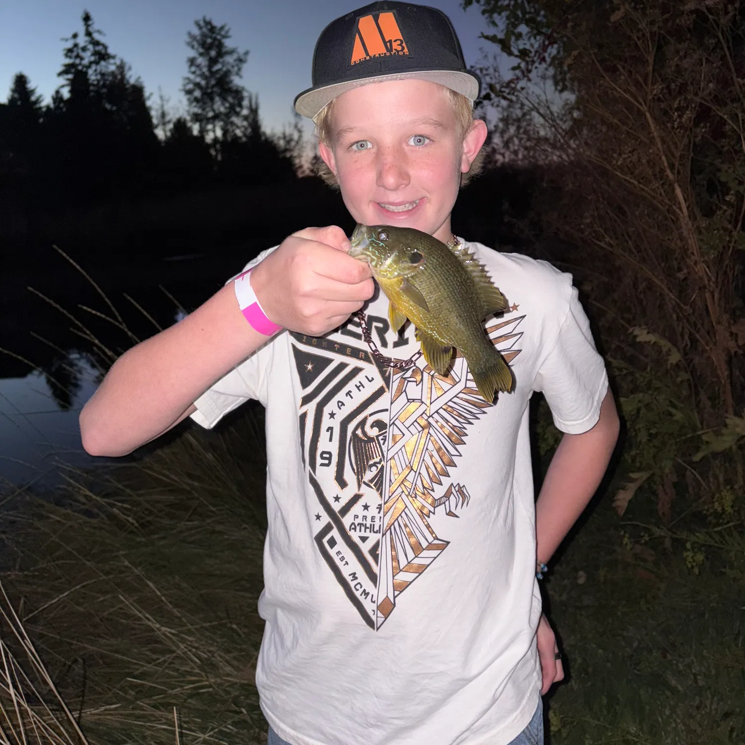 The most recent Green sunfish catches on Fishbrain