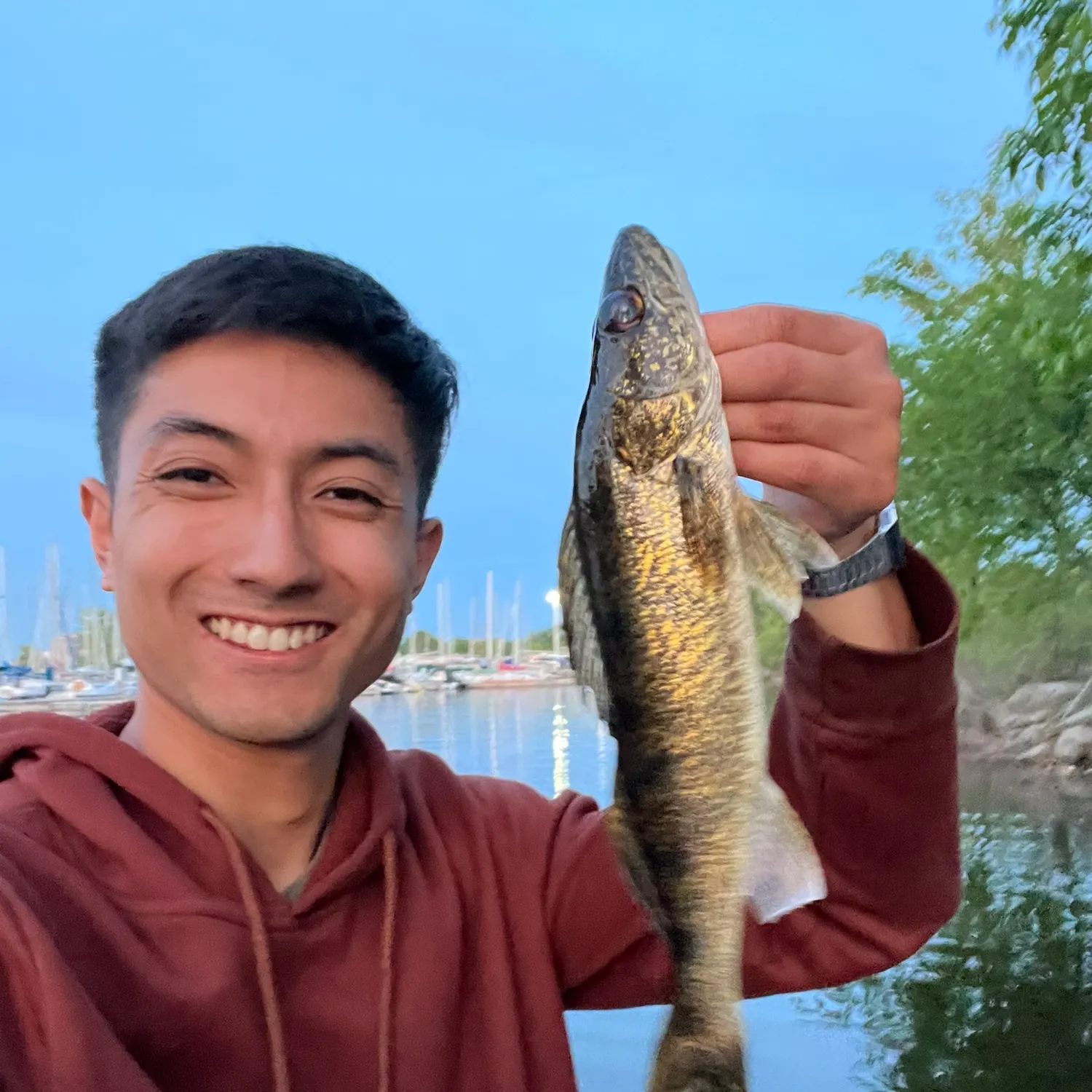 catch