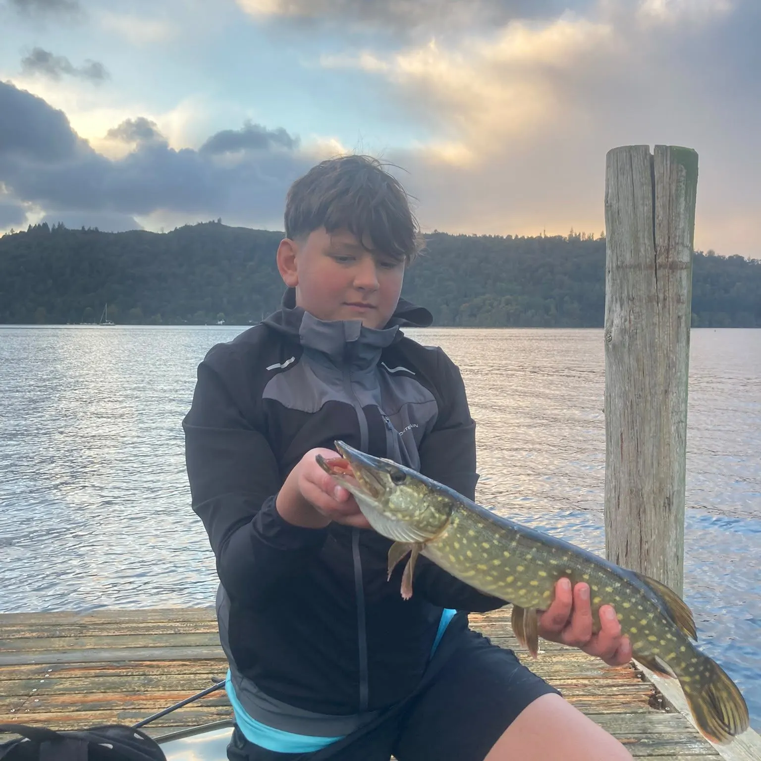 Northern pike caught on Fishbrain