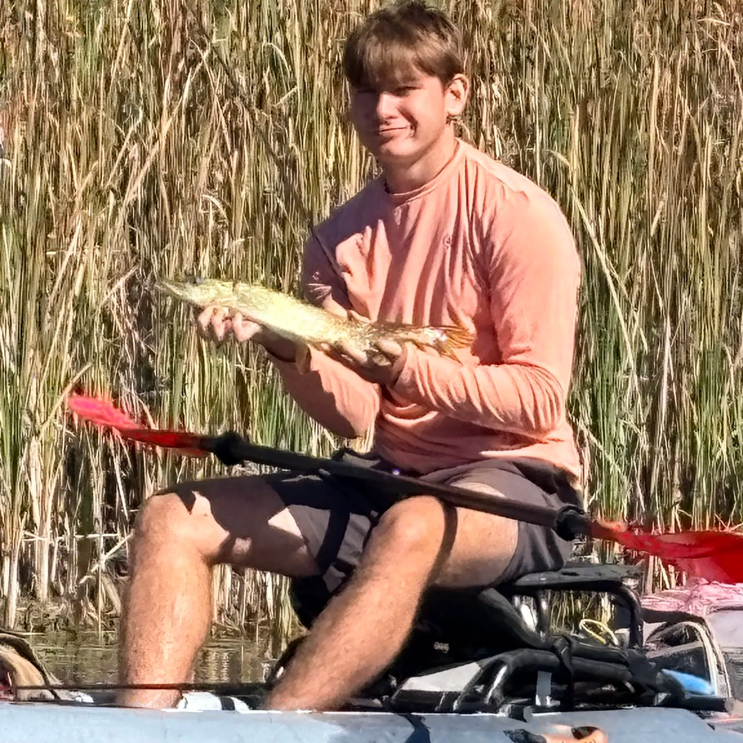 Northern pike caught on Fishbrain
