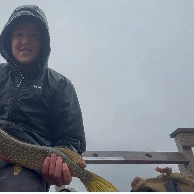 Northern pike caught on Fishbrain