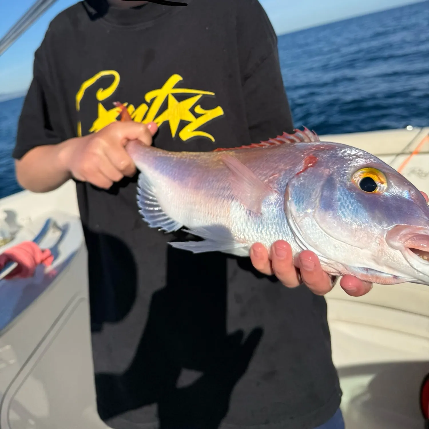 most liked catch image