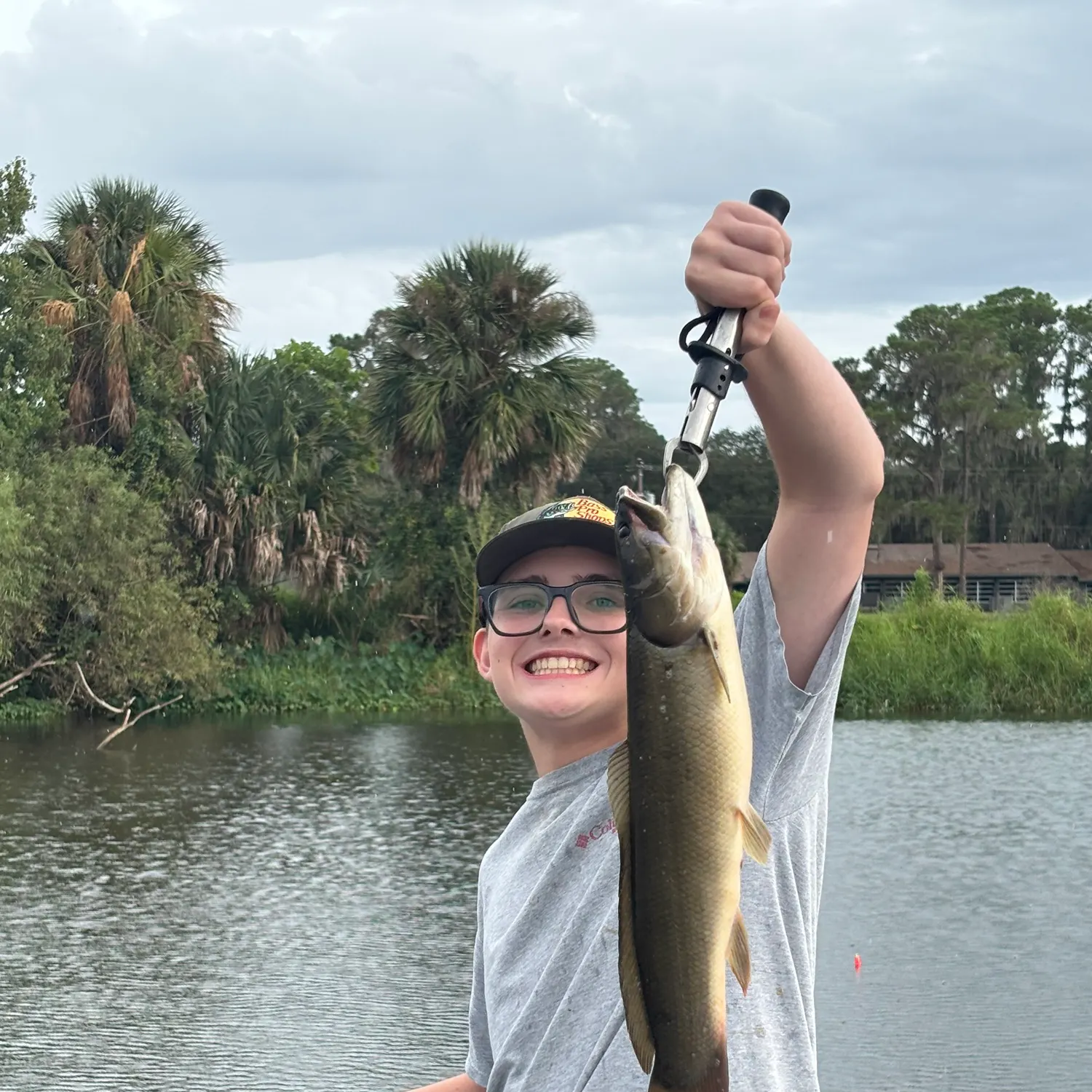 Ruddy bowfin caught on Fishbrain