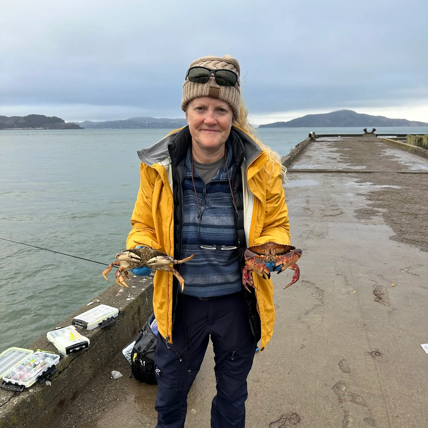 The most recent Graceful rock crab catches on Fishbrain