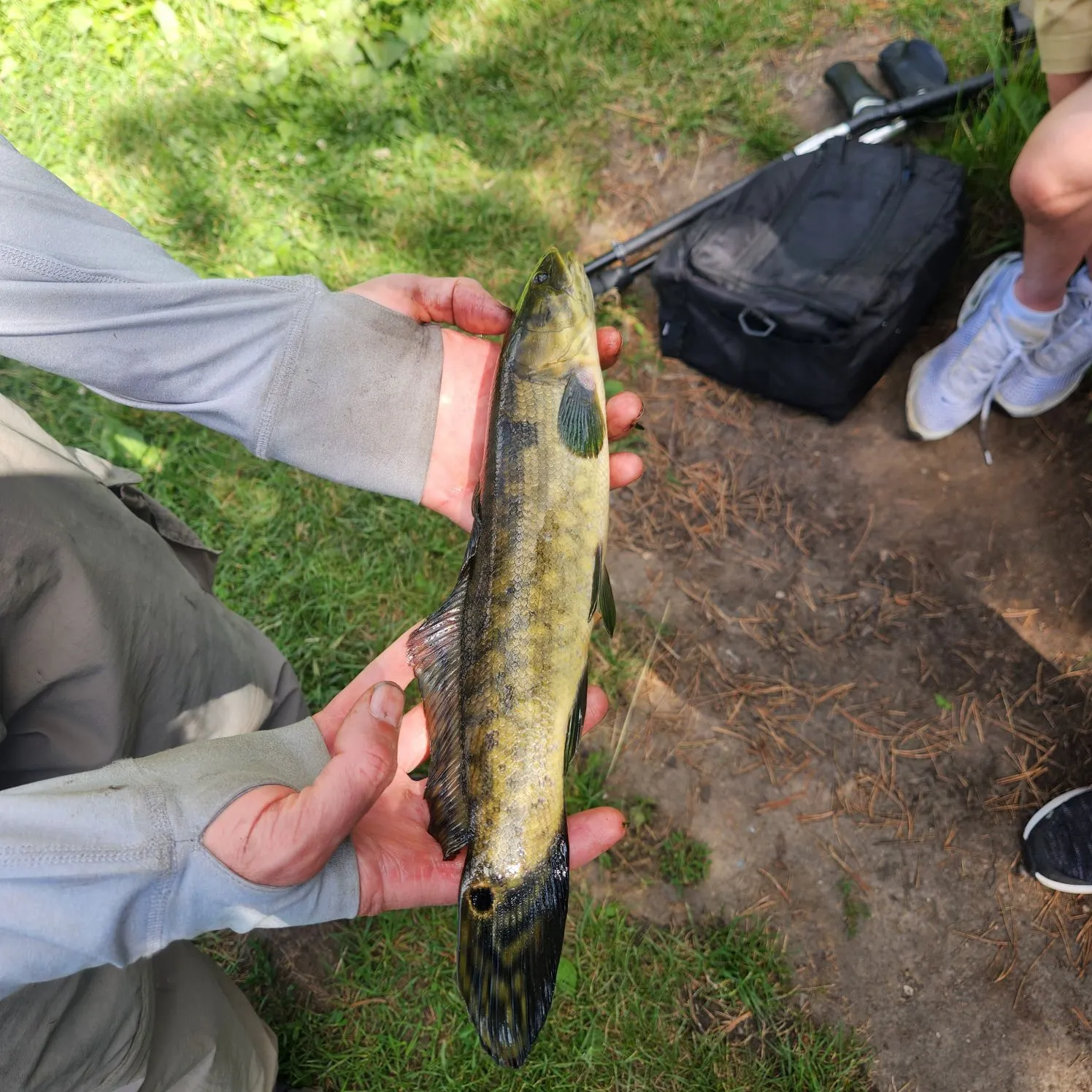 catch