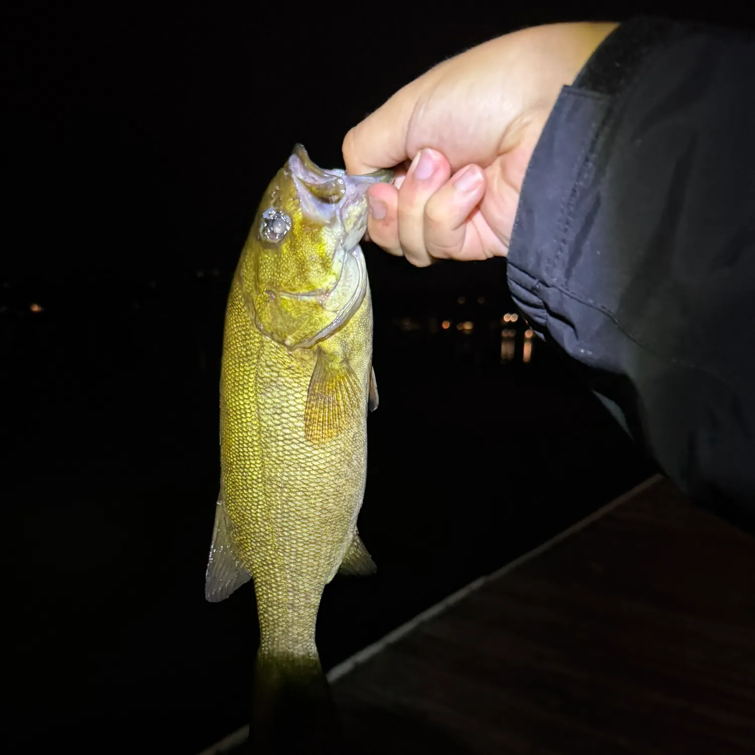 Smallmouth bass caught on Fishbrain