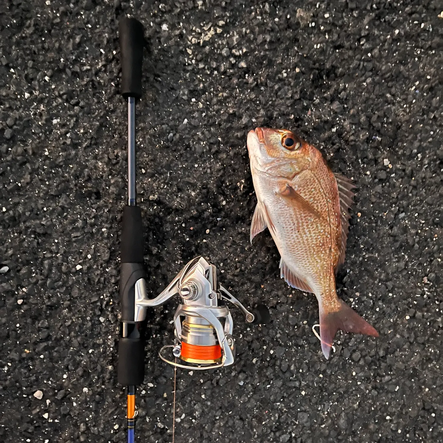 angler catch