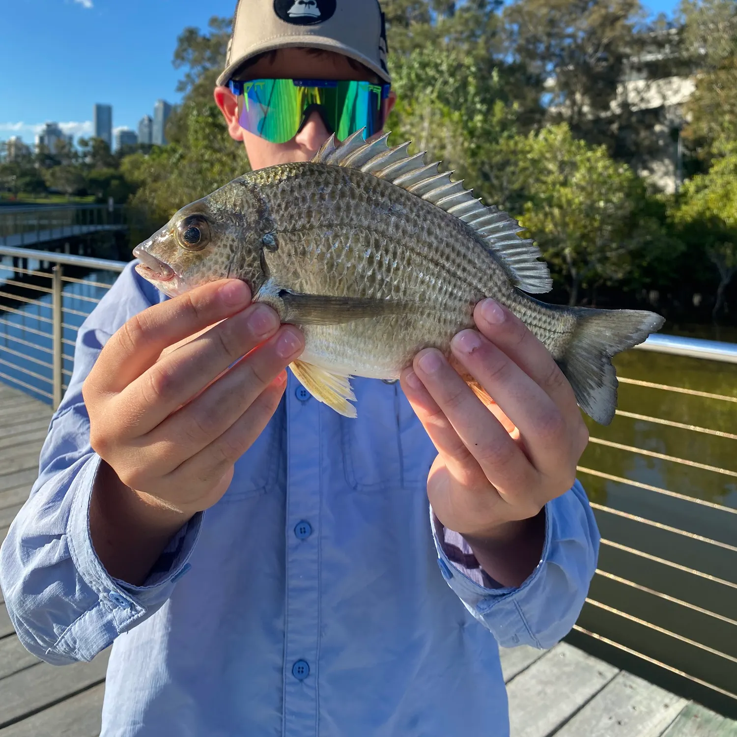 catch