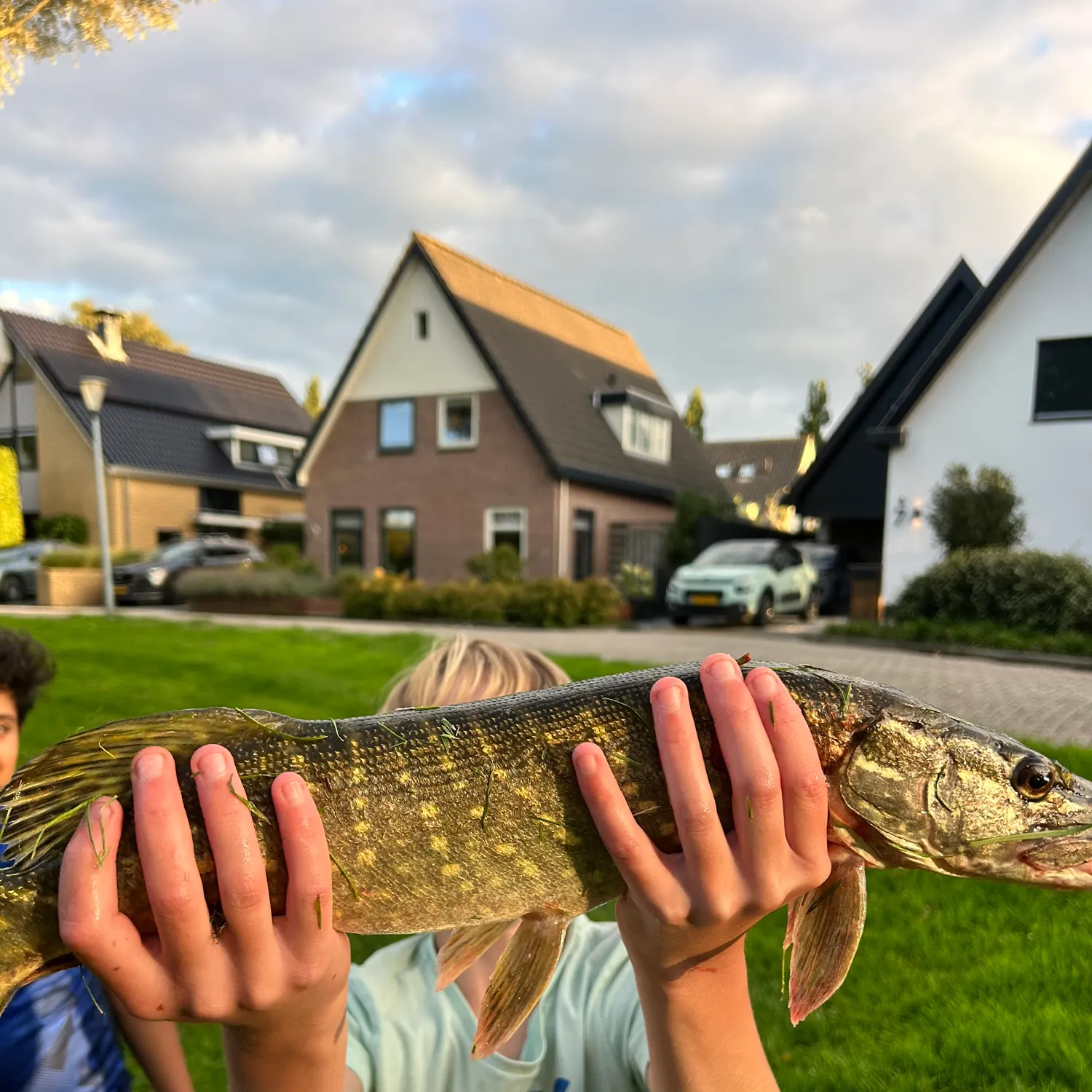catch
