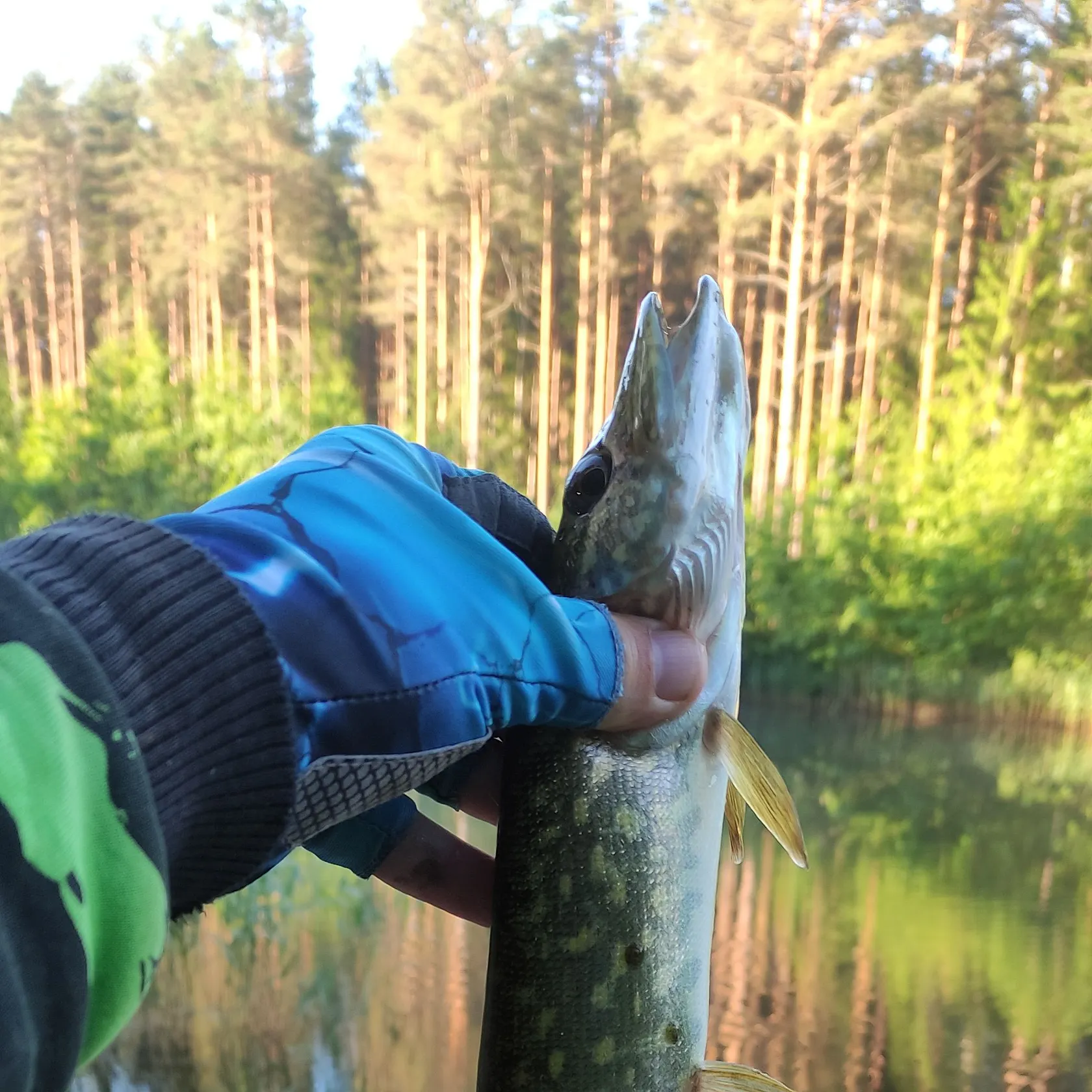 catch