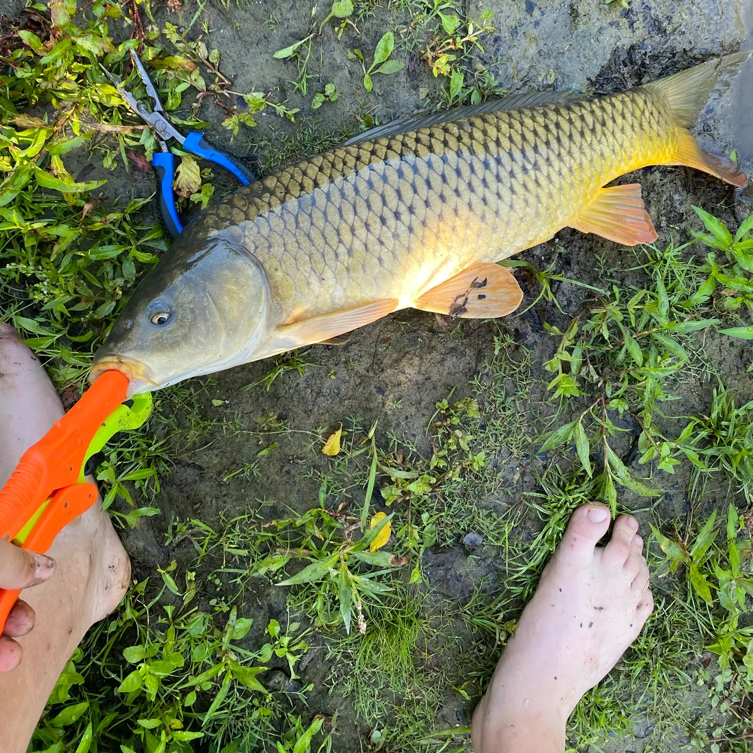 catch