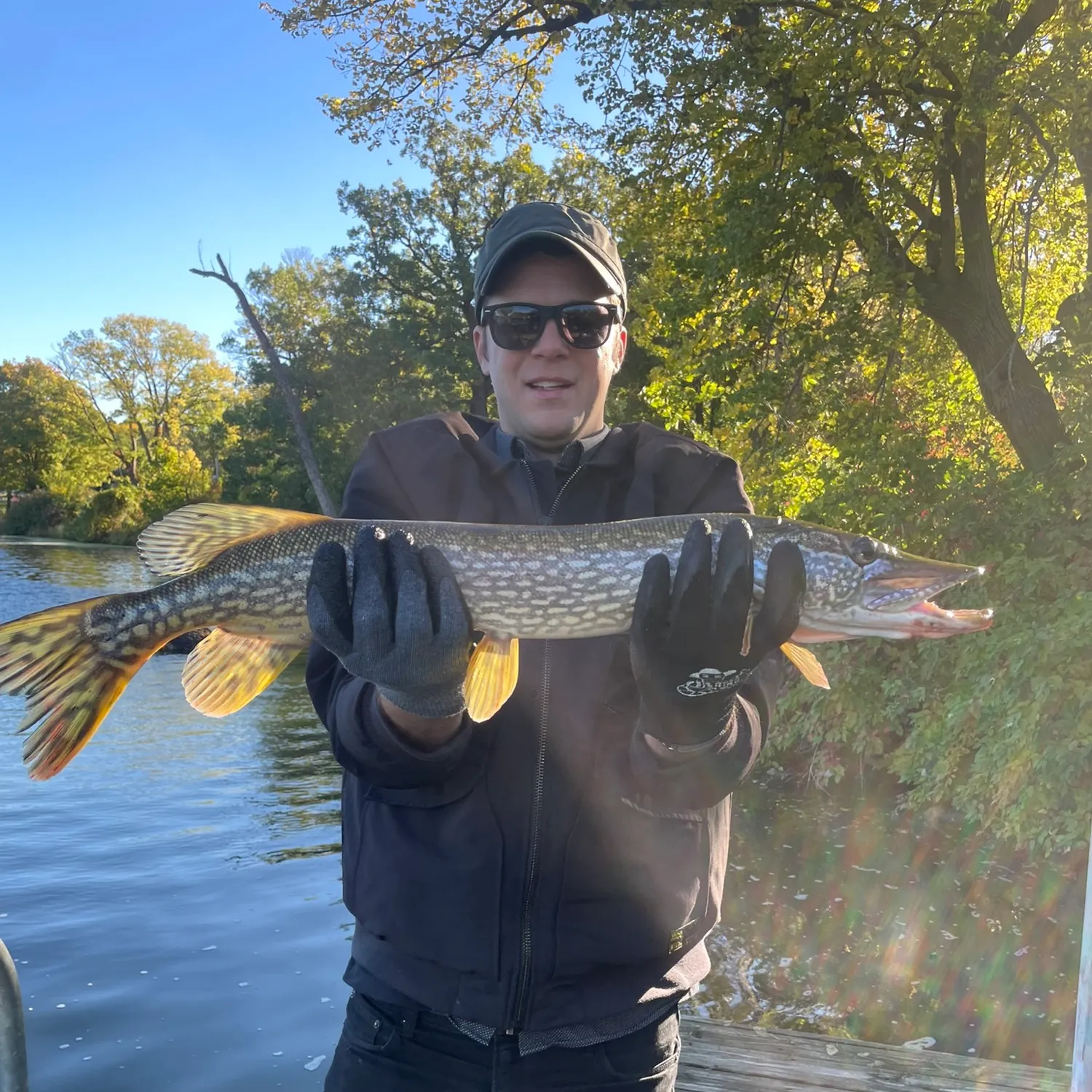 Northern pike caught on Fishbrain