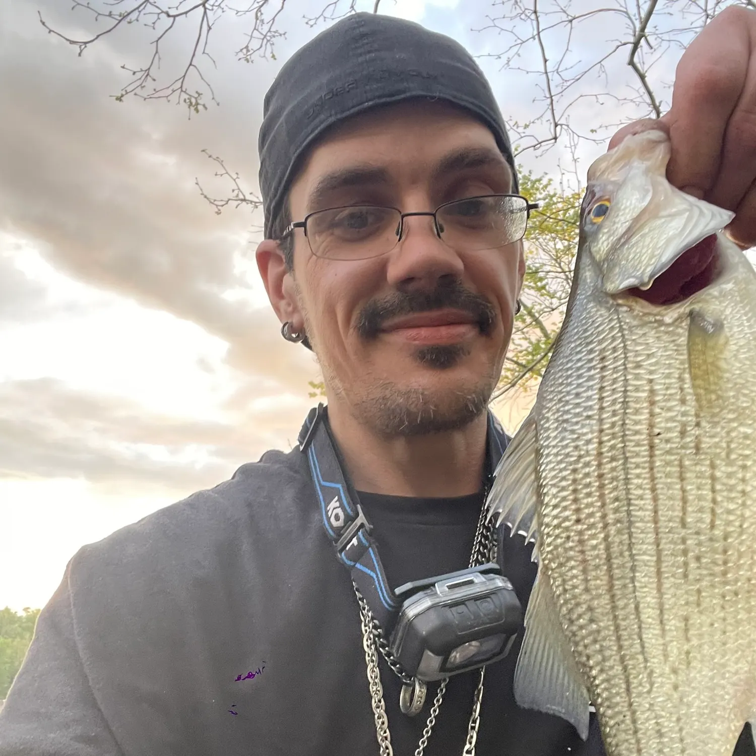 White bass caught on Fishbrain