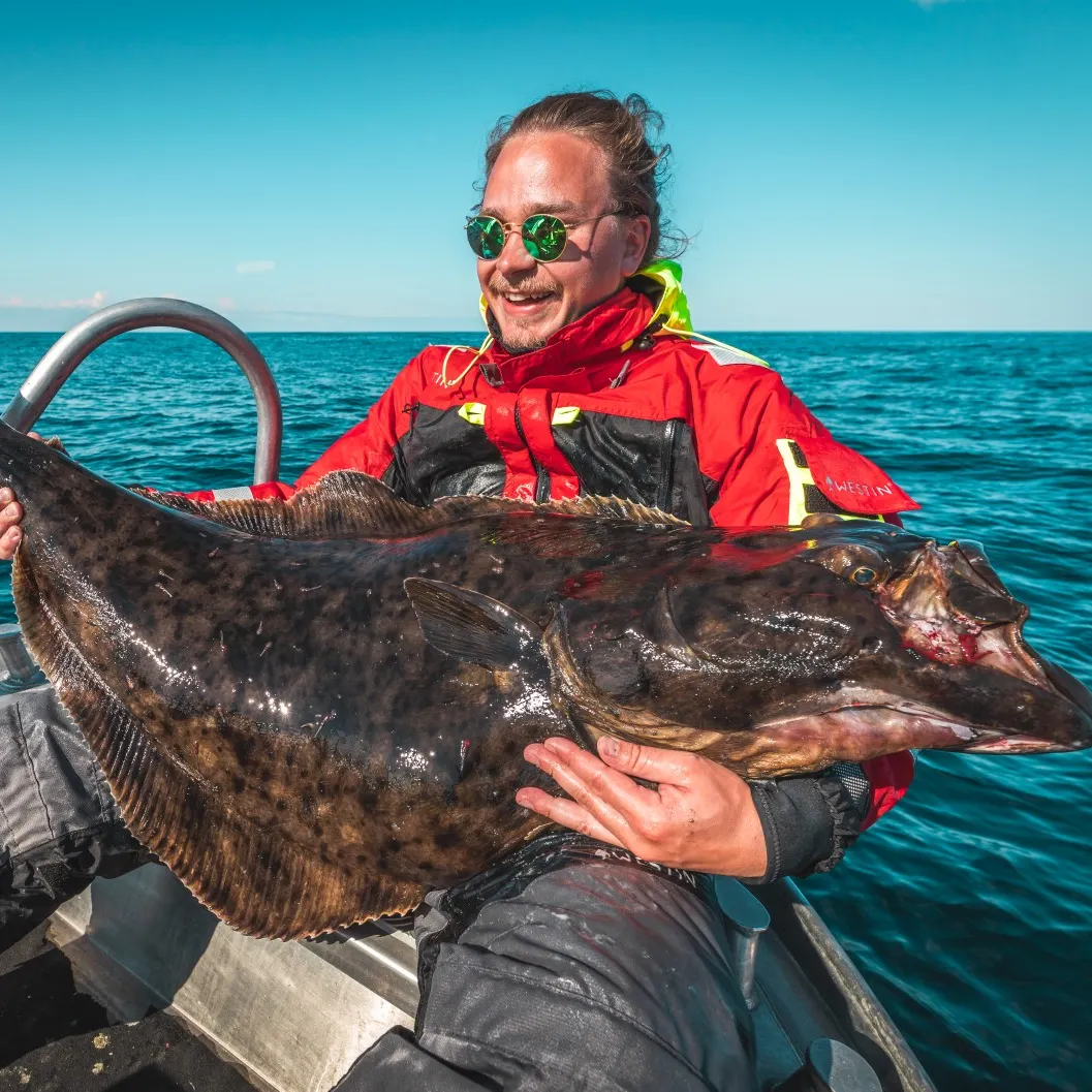 The most popular recent Atlantic halibut catch on Fishbrain