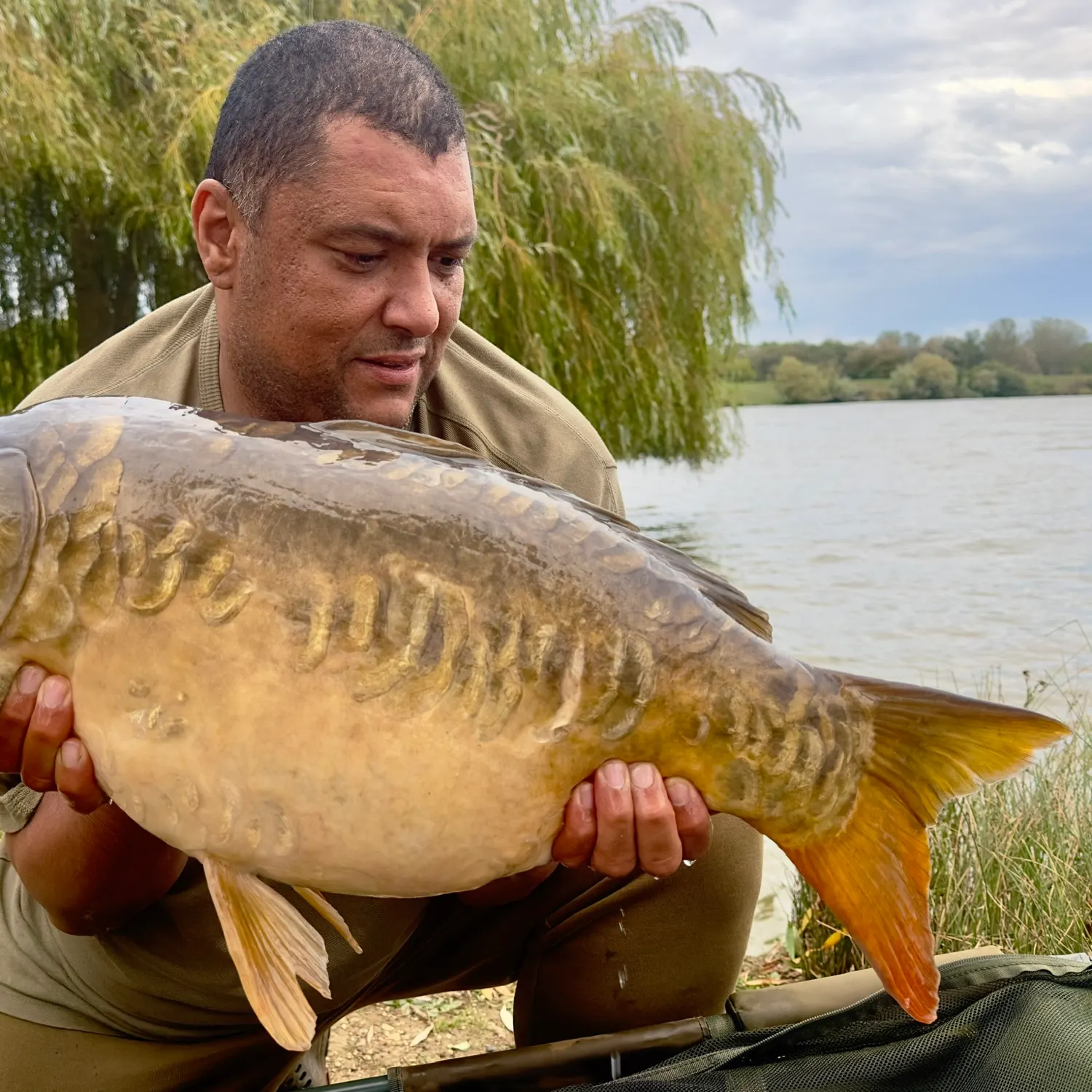 Mirror carp caught on Fishbrain