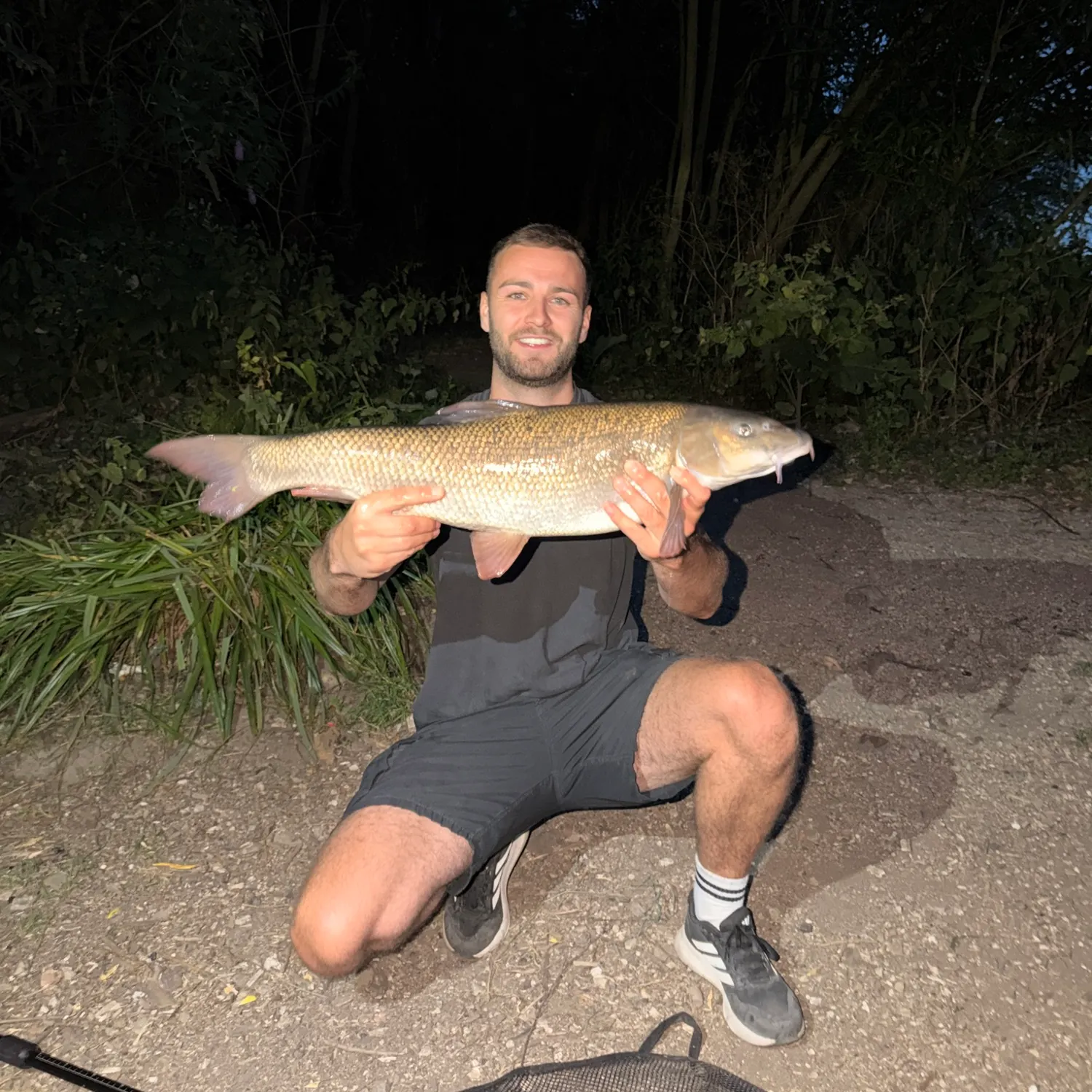 Common barbel caught on Fishbrain