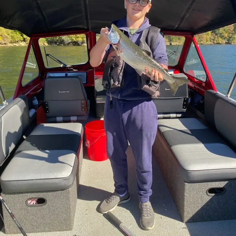 Chinook salmon caught on Fishbrain