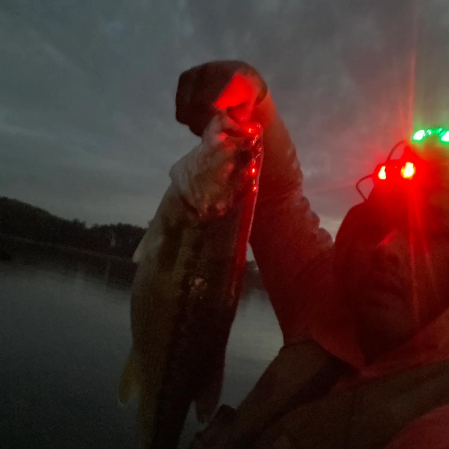 Spotted bass caught on Fishbrain