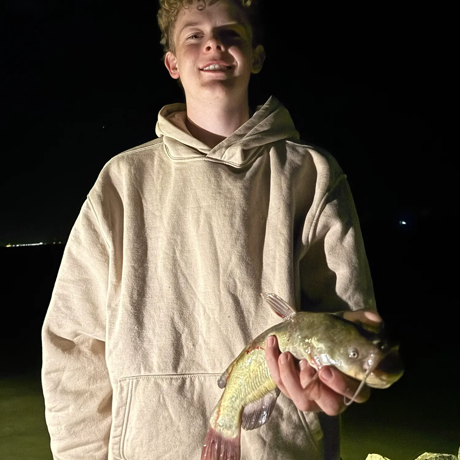 Yellow bullhead caught on Fishbrain