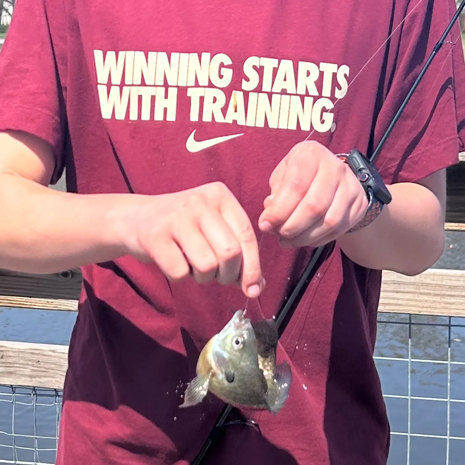 recently logged catches