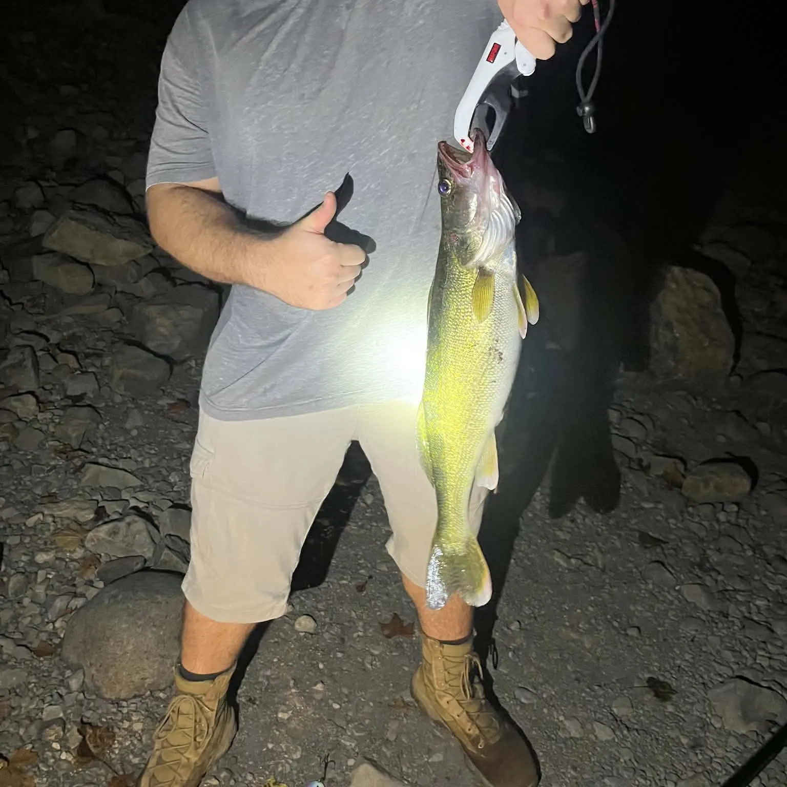 Walleye caught on Fishbrain