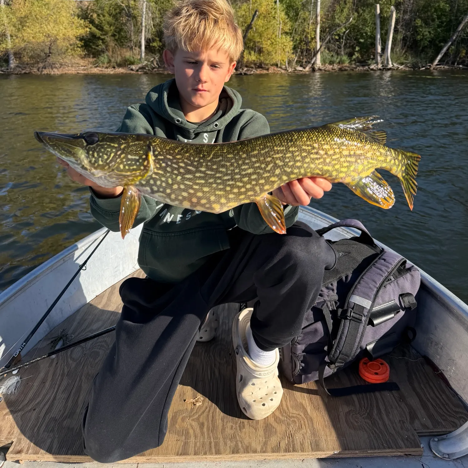 Northern pike caught on Fishbrain