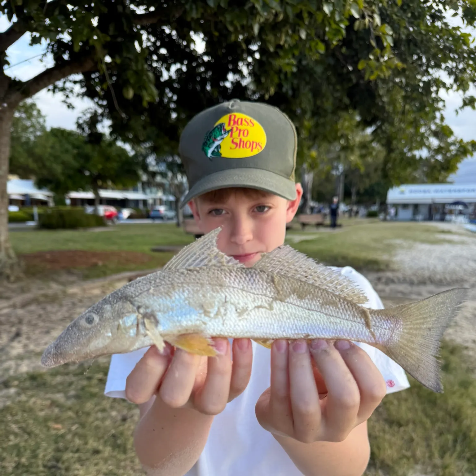 The most recent Sand sillago catches on Fishbrain