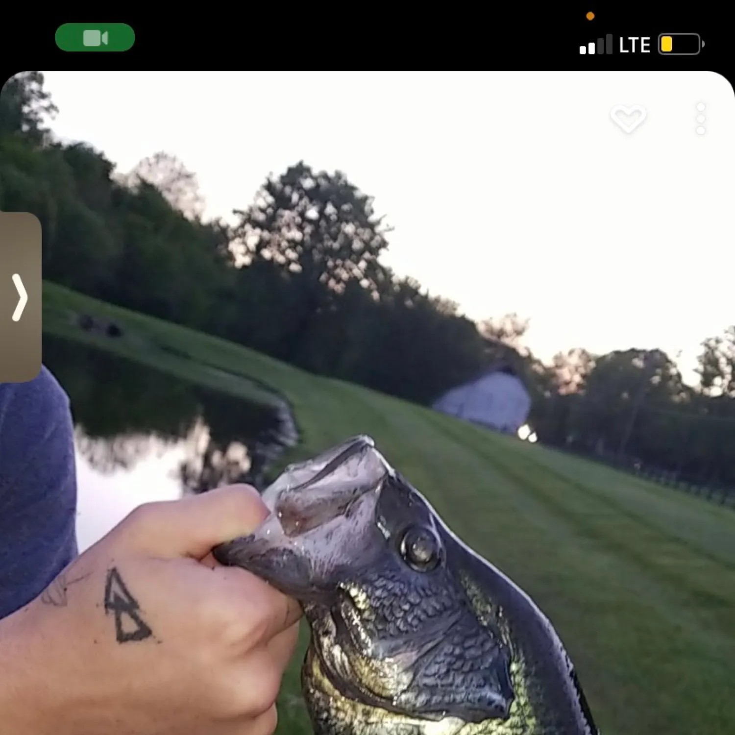 recently logged catches