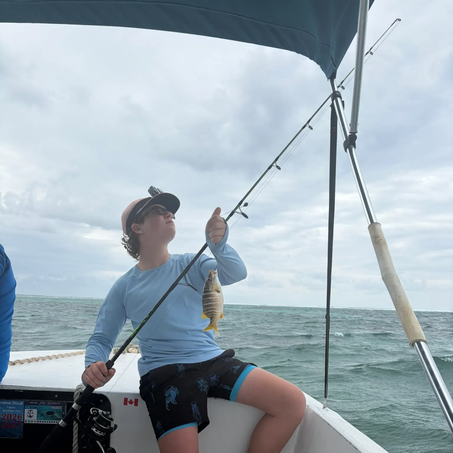 The most recent Yellowtail snapper catches on Fishbrain