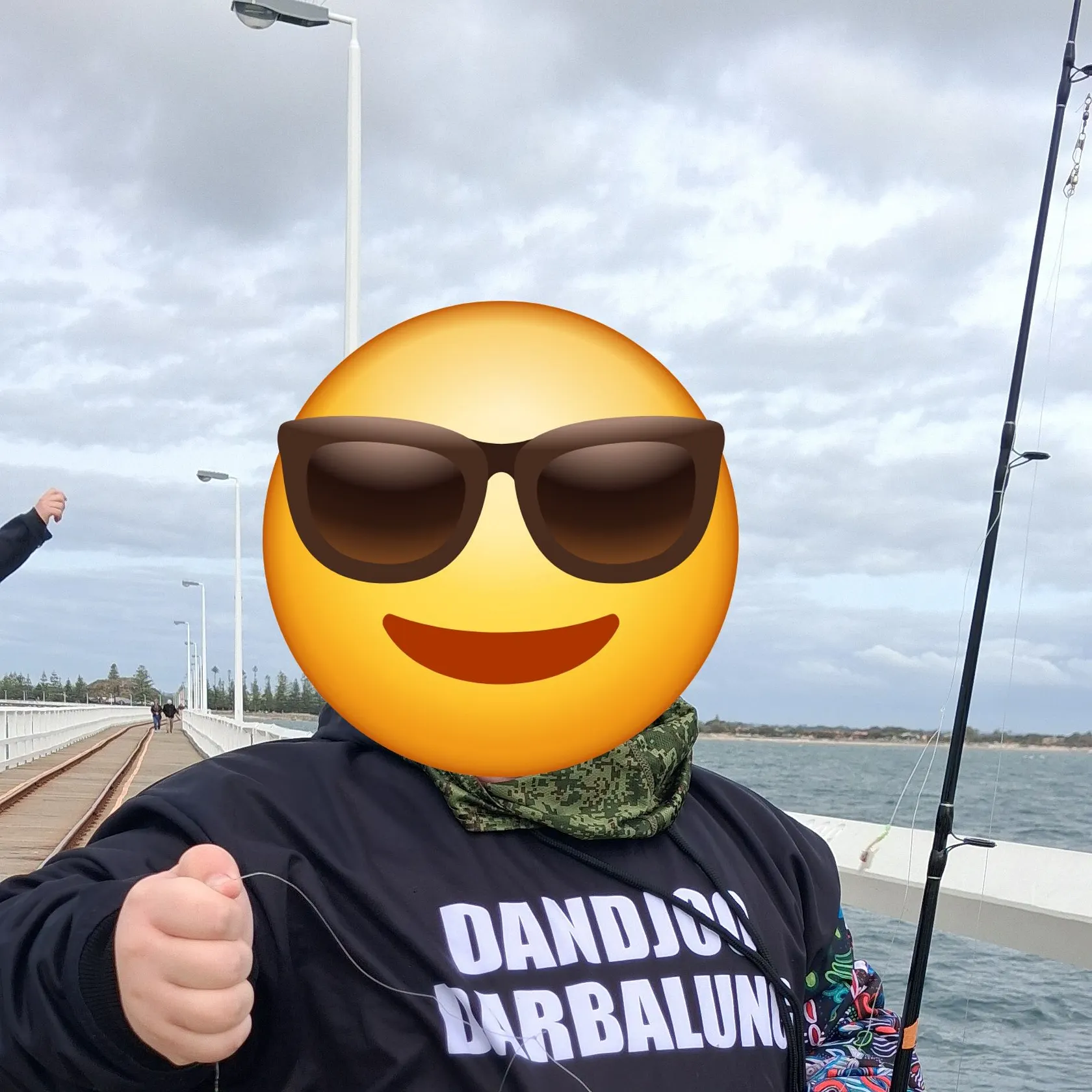 The most recent Brownspotted wrasse catches on Fishbrain