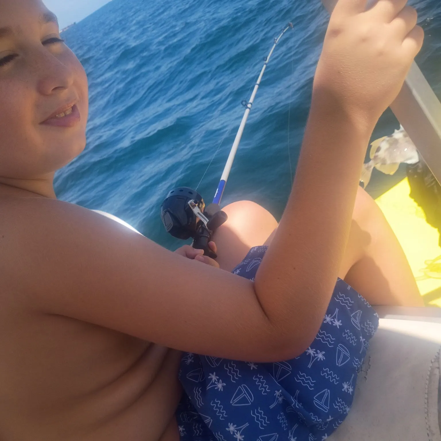 Ocean triggerfish caught on Fishbrain