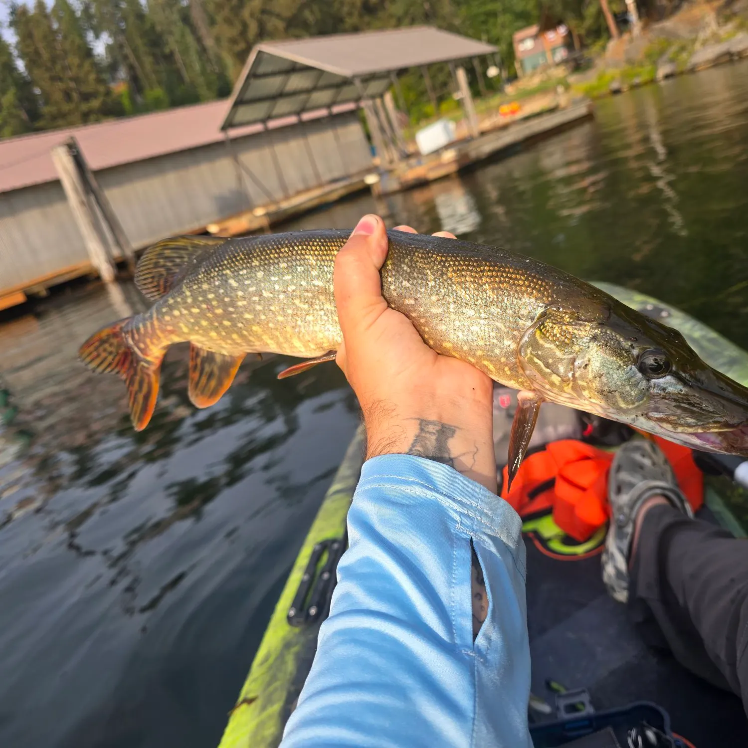 catch