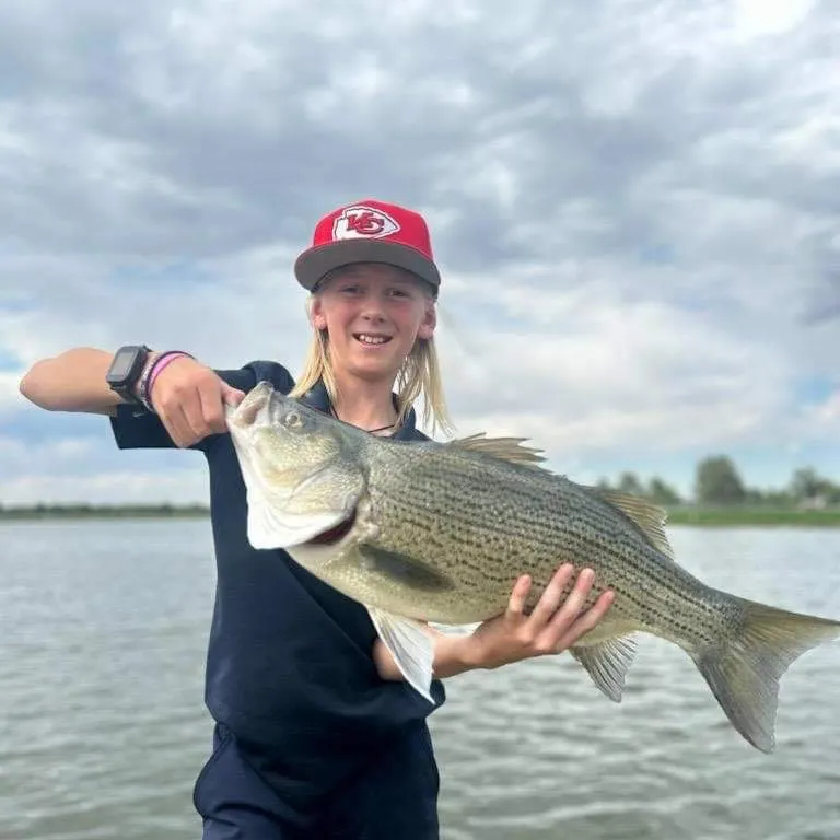 Wiper caught on Fishbrain
