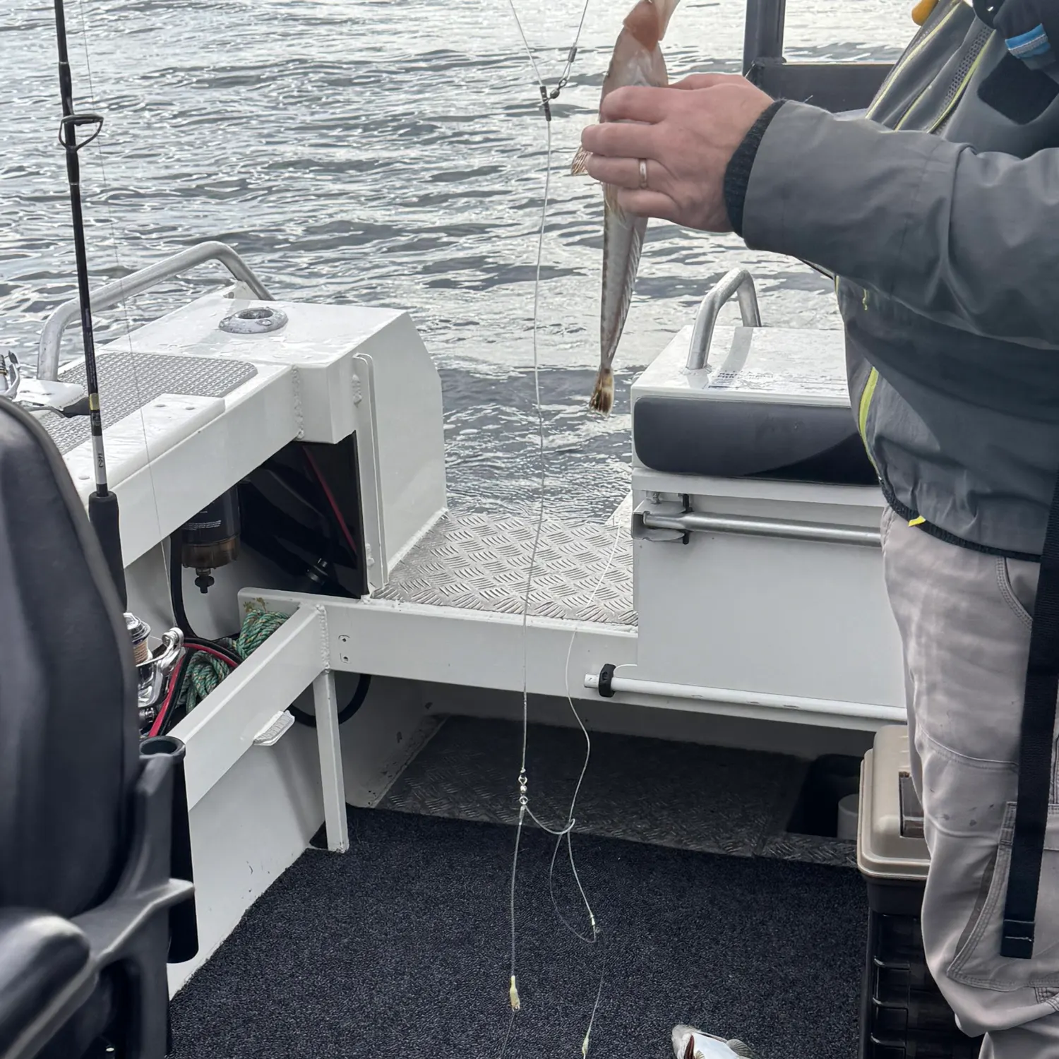 The most recent Sand flathead catches on Fishbrain