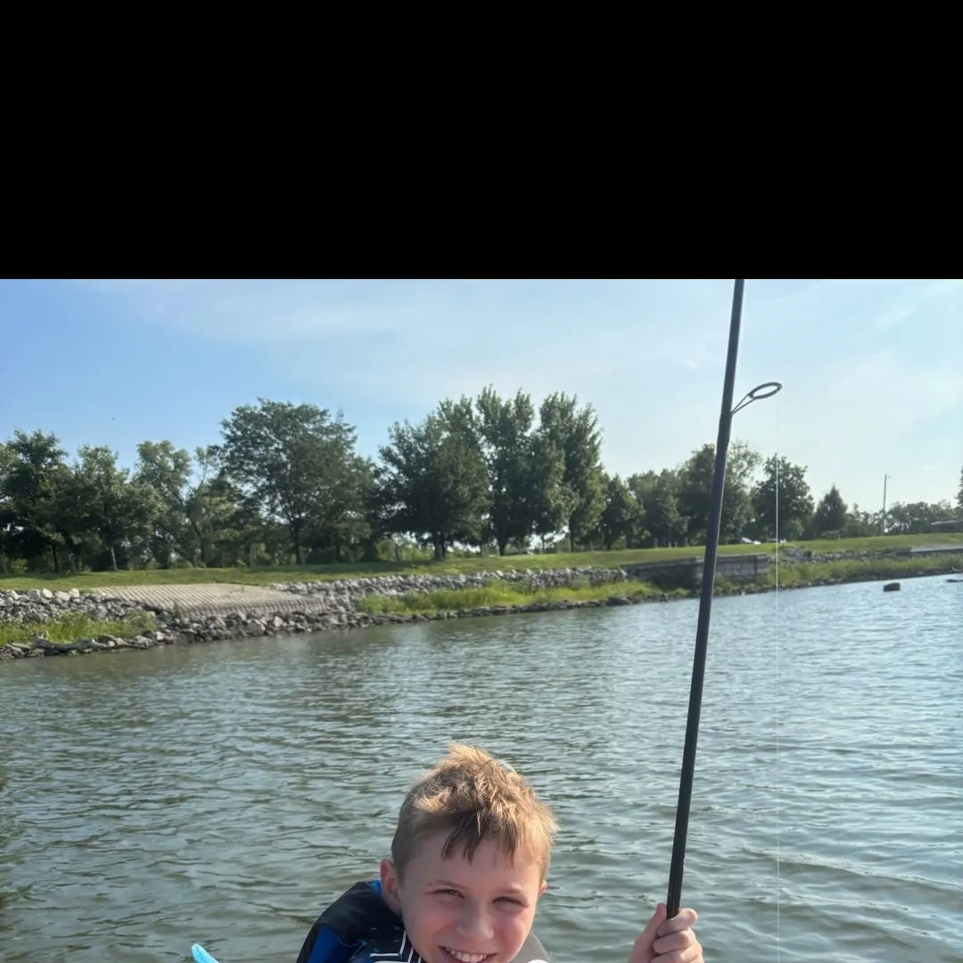 Black crappie caught on Fishbrain