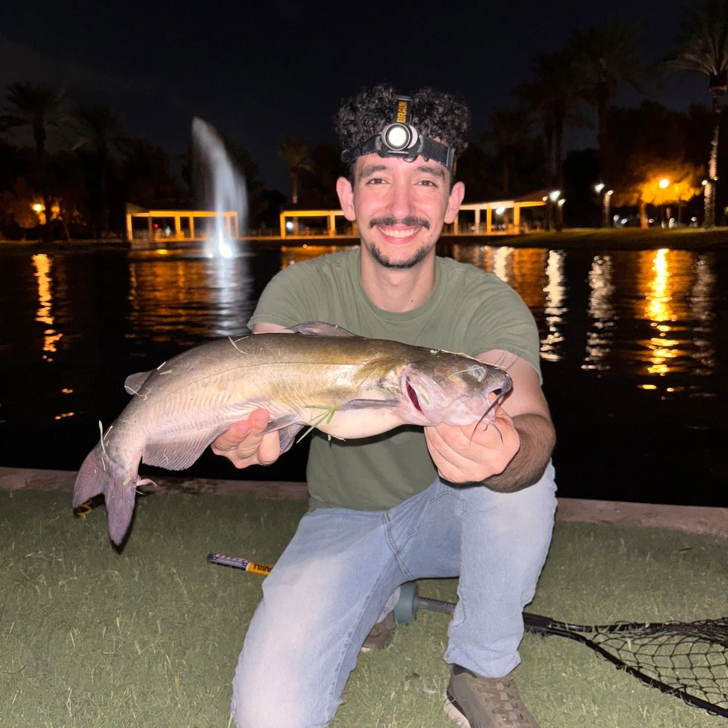 Channel catfish caught on Fishbrain